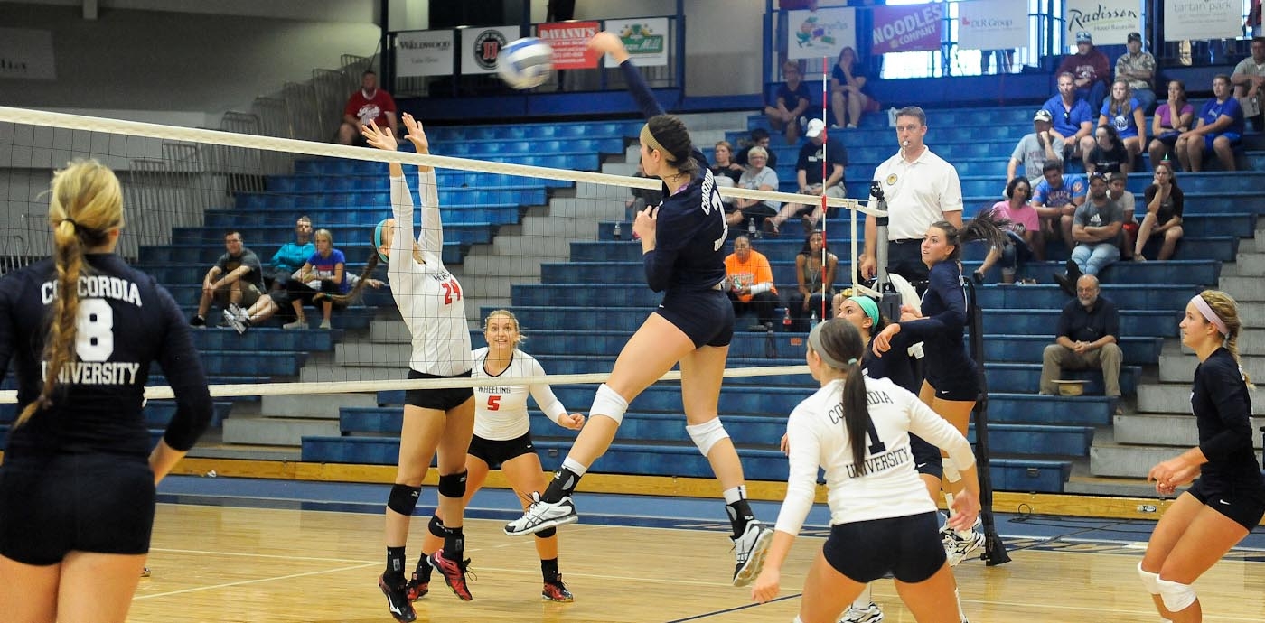 Caledonia teammates thriving in NFL and DII volleyball