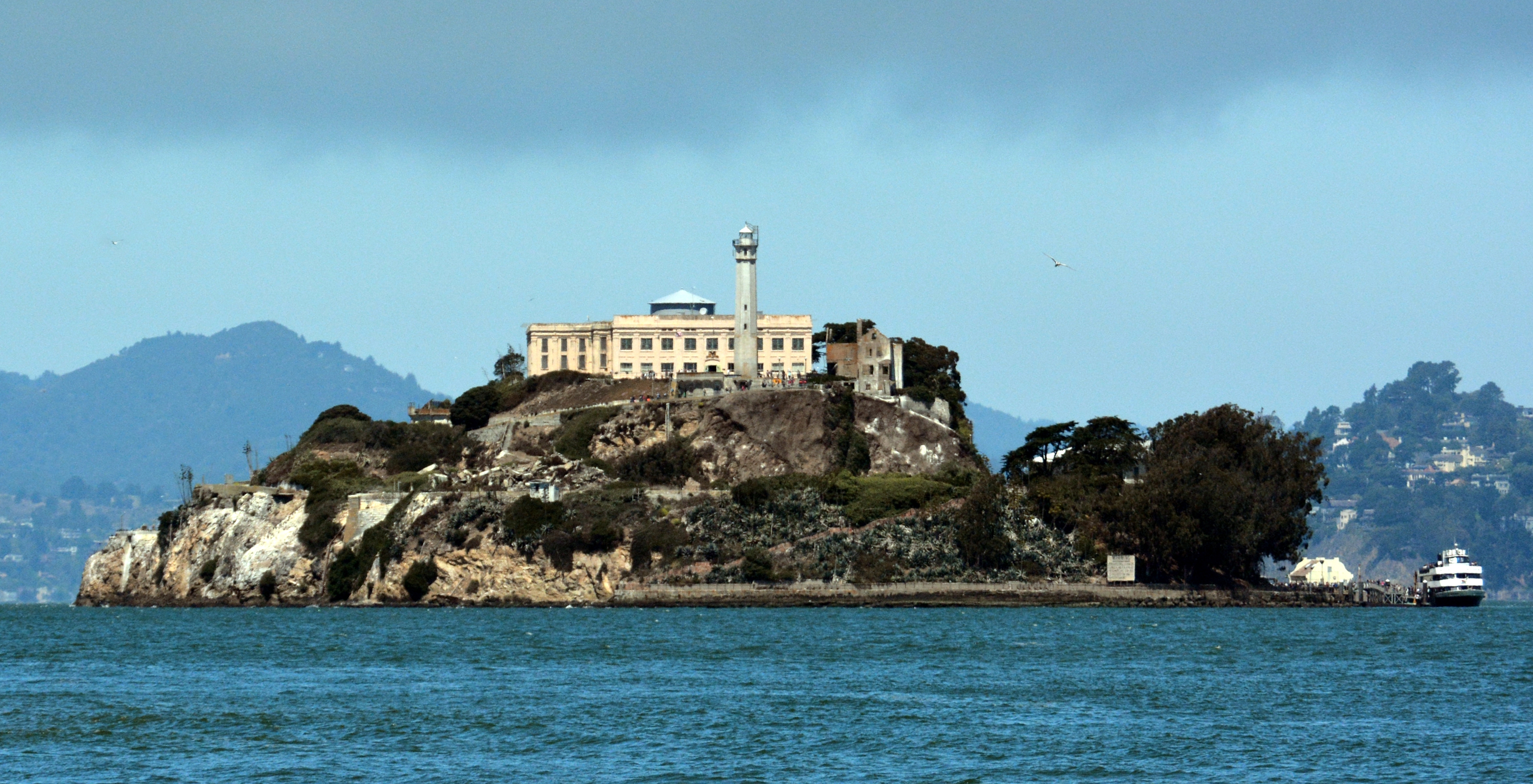 9-year-old sets record swimming to Alcatraz and back