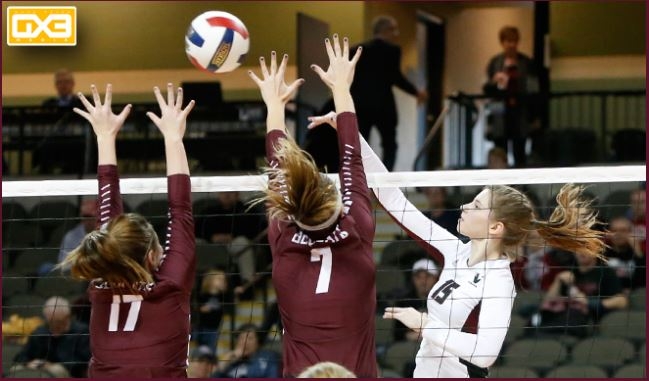 Viterbo sweeps Ozarks in first round at NAIA tourney