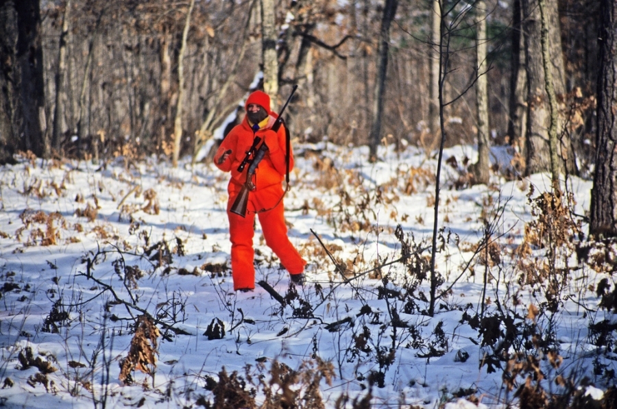 Wisconsin’s opening day to gun-deer hunt, a lot lower than last year