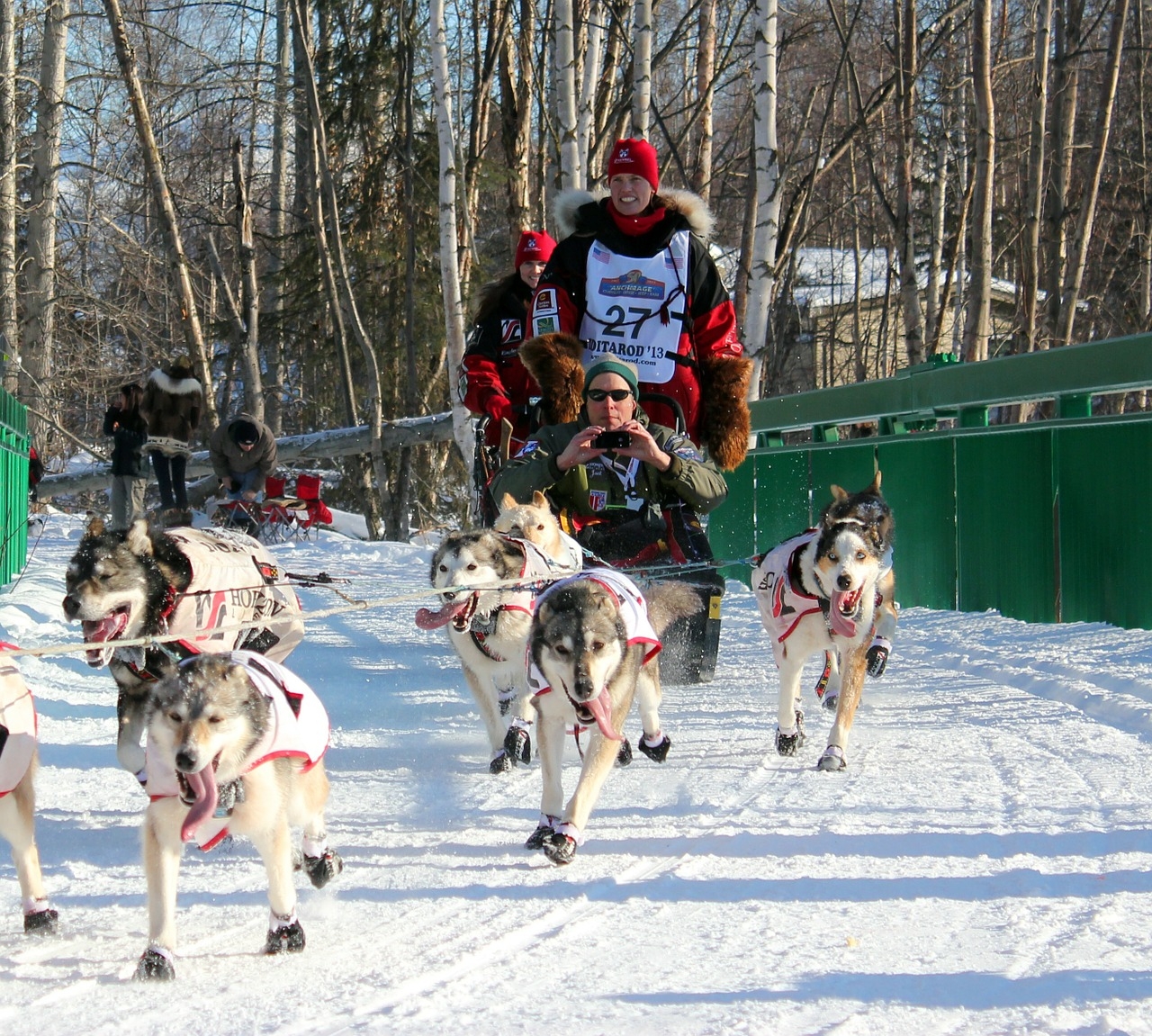 Iditarod sled dog race is engulfed in dog-doping scandal