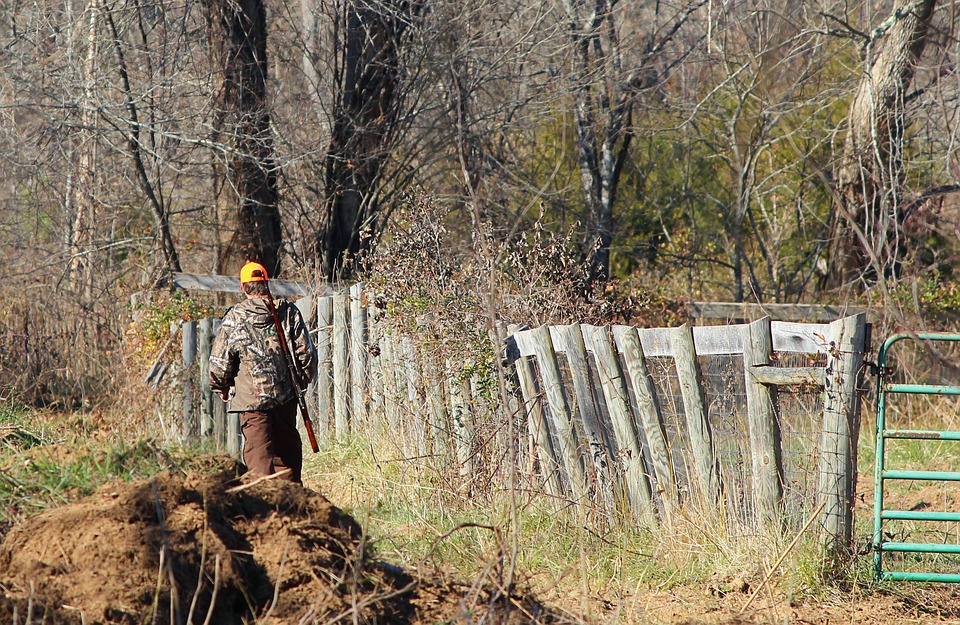 Wisconsin’s nine-day gun deer harvest down 25% from 2018