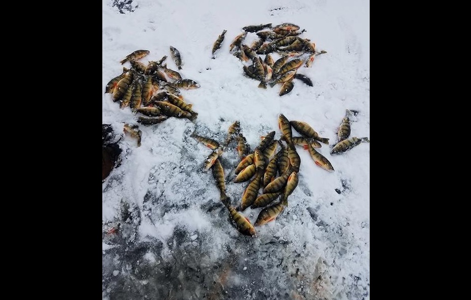 USE CAUTION: The ice is thin, but they are catching fish