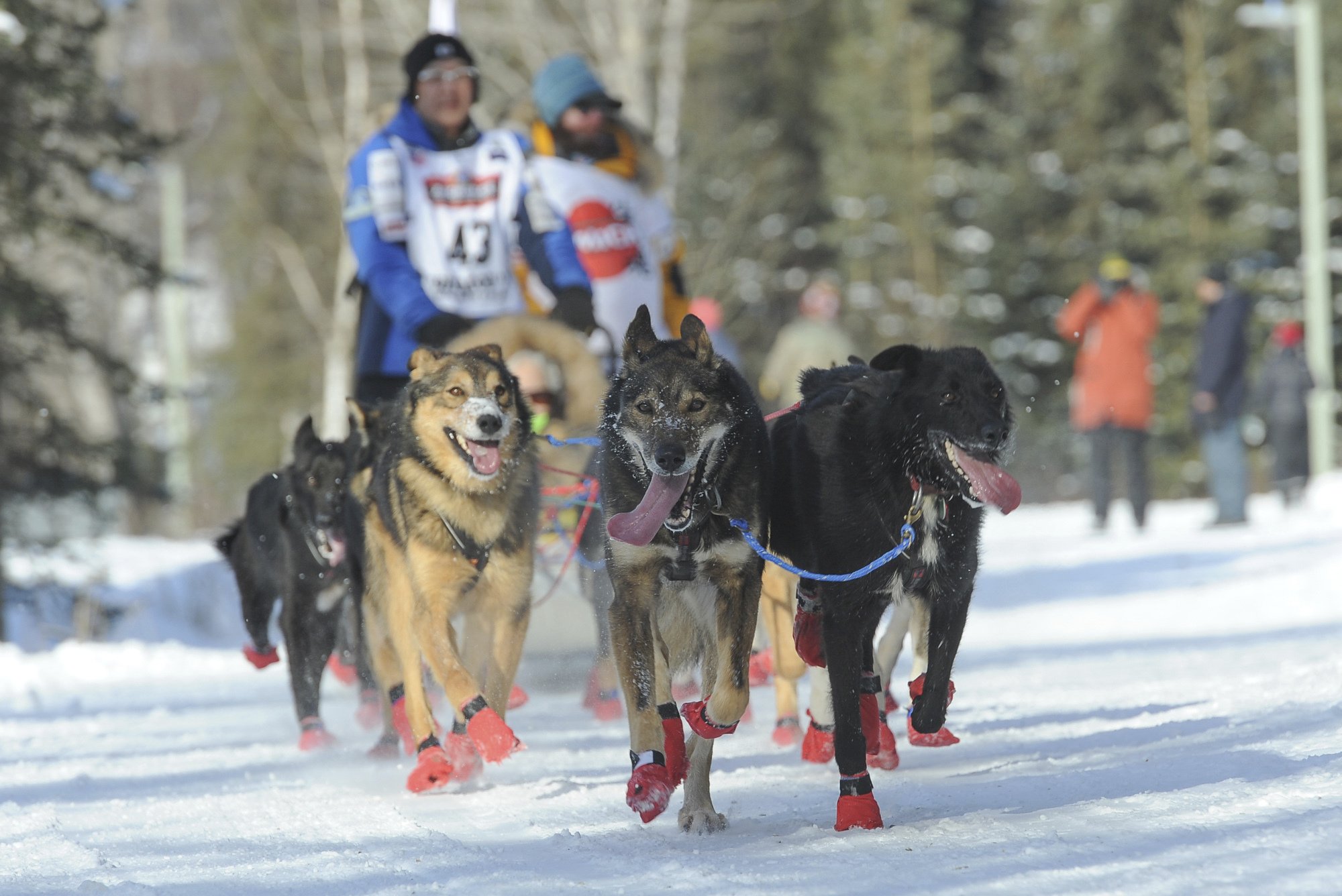 Defending Iditarod champ remains self-proclaimed ‘goofball’