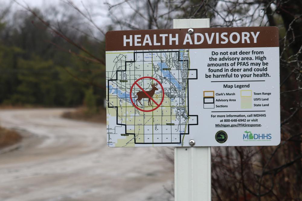 Elevated levels of PFAS ‘Forever chemicals’ found in deer, fish are a challenge for hunters, tourism