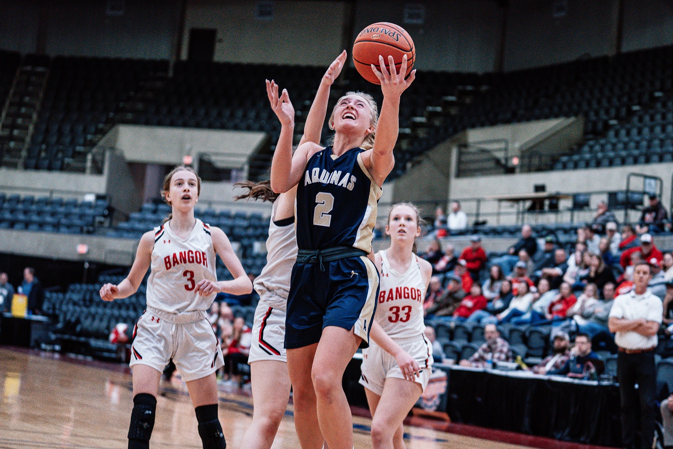 Aquinas guard Macy Donarski named first team all-state; six local players named honorable mention
