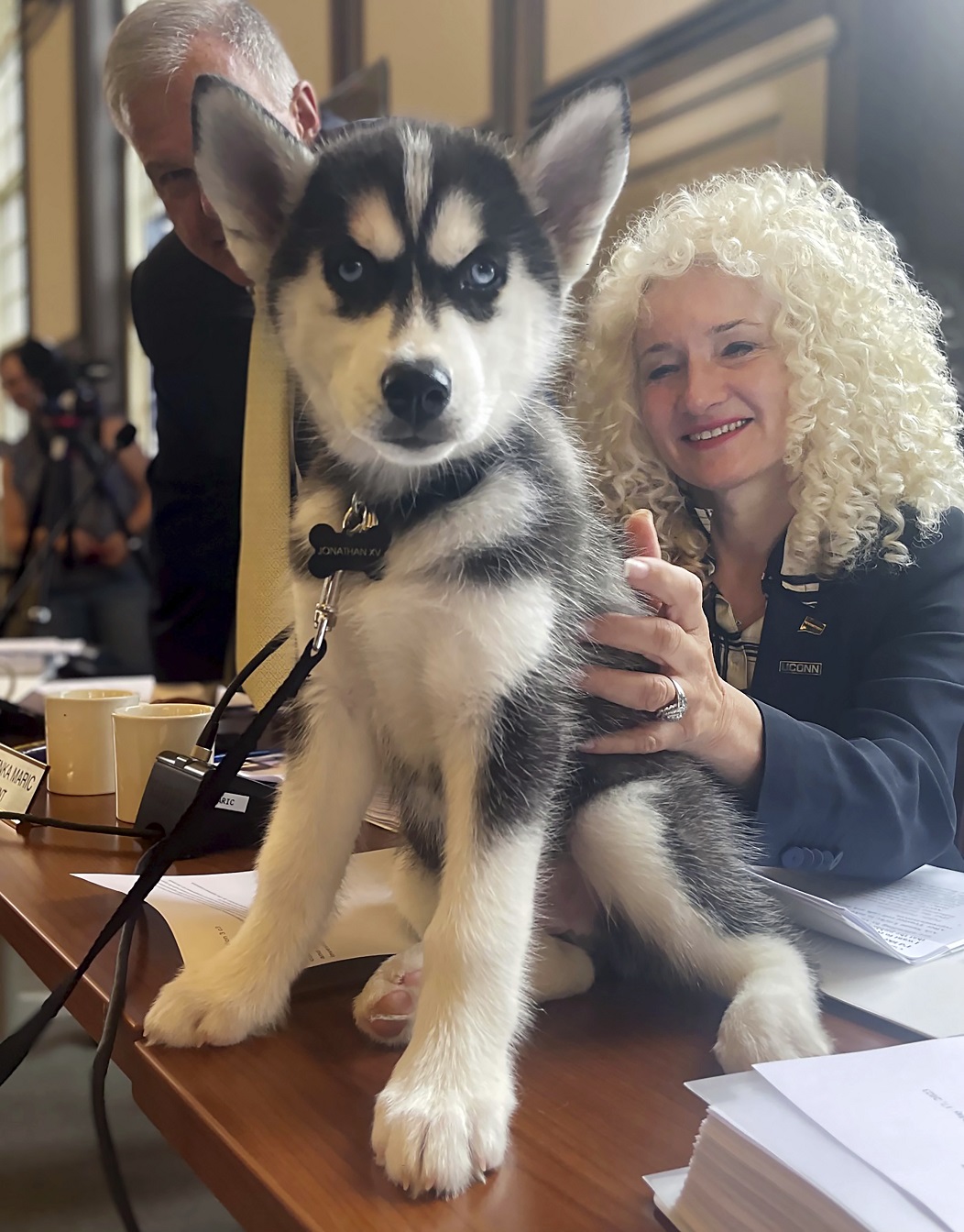 UConn introduces Siberian husky pup Jonathan XV as the school’s next ...