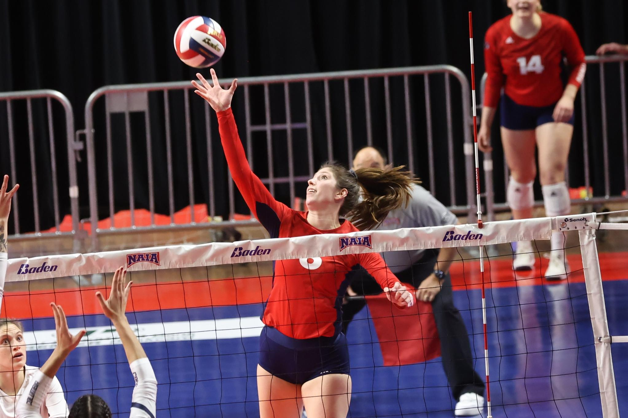 Viterbo sweeps conference regular season, playoffs for 14th-consecutive 30-win season