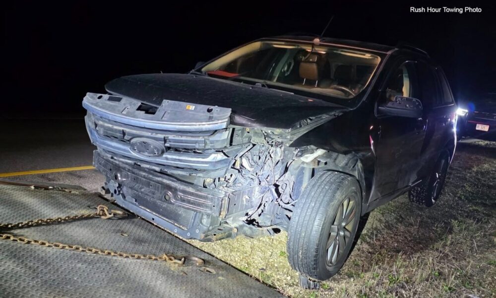 Driver OK after SUV hits, kills bear on I-90 near Sparta